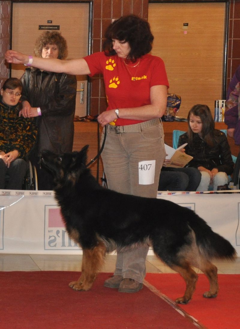 DSC_1440.jpg
